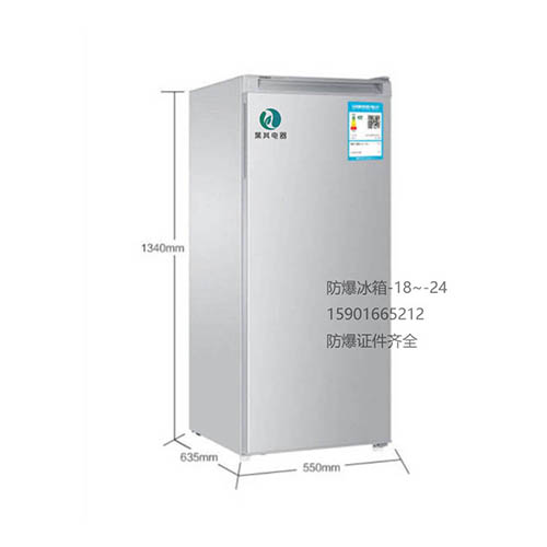 BL-LD200D立式防爆冰箱冷凍